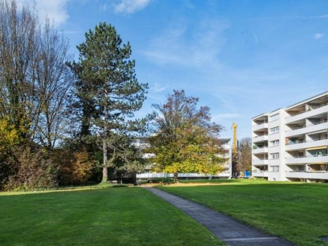 Wohnung mieten in Illnau-Effretikon, Zürich