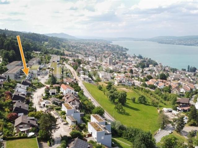 Einfamilienhaus kaufen in Horgen, Zürich