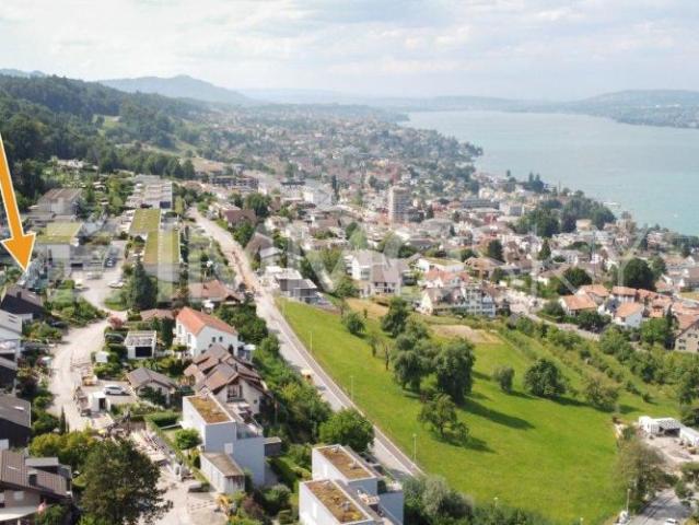 Haus kaufen in Horgen, Zürich