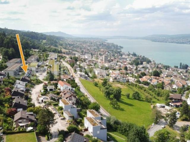 Einfamilienhaus kaufen in Horgen, Zürich