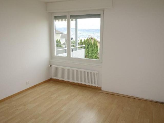 Apartment mieten in Kappeli, Erlenbach (ZH)