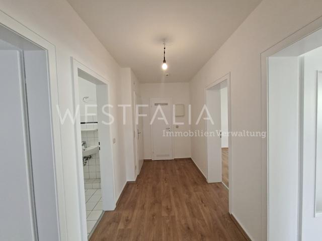 Apartment mieten in Ruhrort, Duisburg
