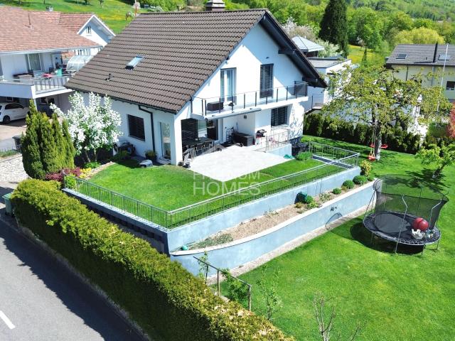 Haus kaufen in Hägendorf, Solothurn