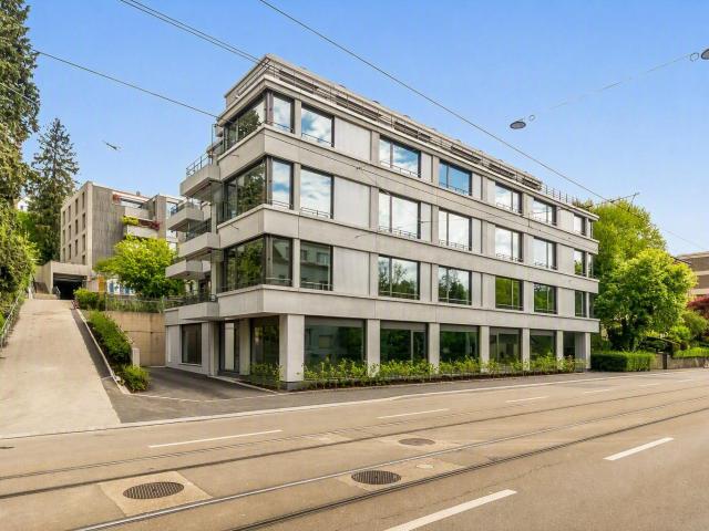 Apartment mieten in Einigen, Zürich