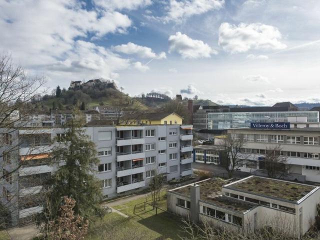 Apartment mieten in Lenzburg, Aargau