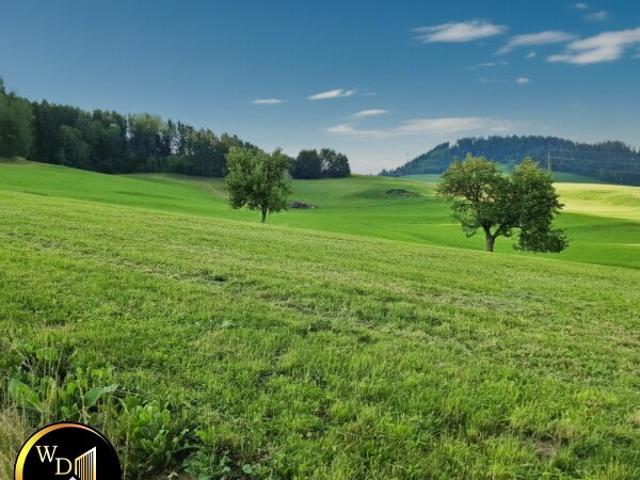 Grundstück kaufen in Sankt Peter-Freienstein, St. Peter-Freienstein