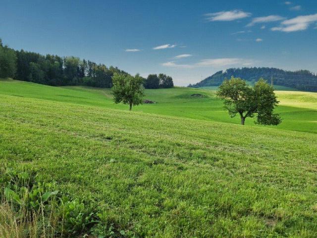 Immobilie kaufen in Sankt Peter-Freienstein, St. Peter-Freienstein