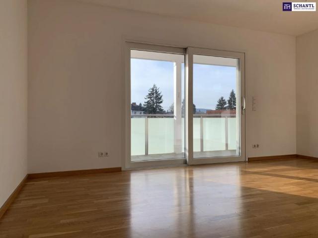 Apartment mieten in Liebenau, Gersdorf-Feistritz