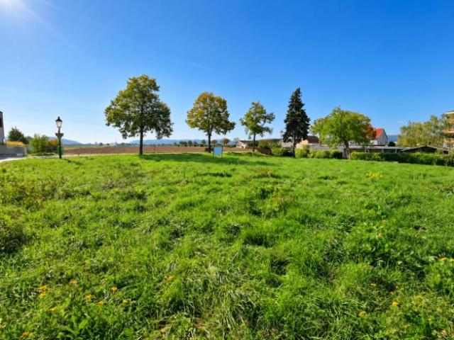 Grundstück kaufen in Leobendorf, Bezirk Korneuburg