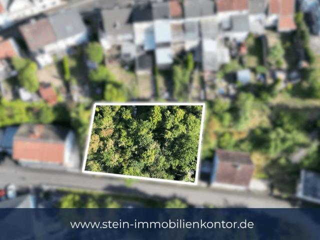 Erdgeschosswohnung kaufen in Kallenfels, Kirn