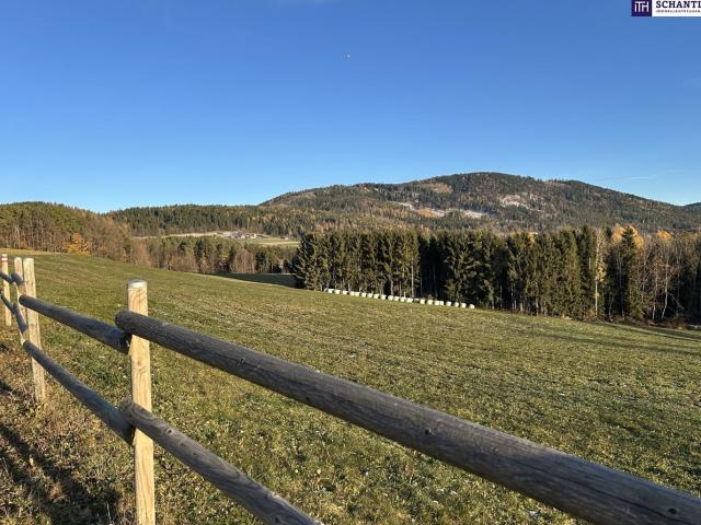 Grundstück kaufen in Weinitzen, Steiermark