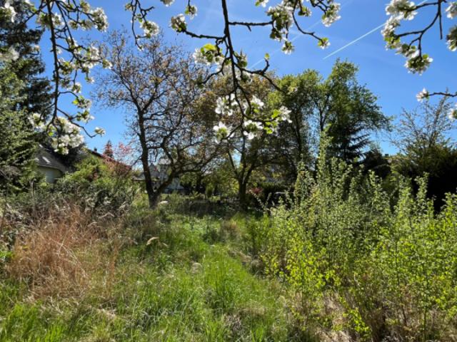 Erdgeschosswohnung kaufen in Berlin