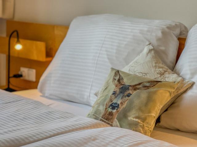 Wohnung kaufen in Bartholomäberg, Vorarlberg