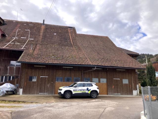 Immobilie kaufen in Turbenthal, Zürich