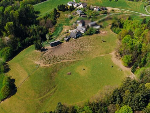 Haus kaufen in Gamlitz, Steiermark