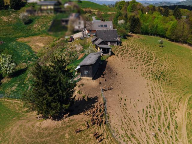 Haus kaufen in Gamlitz, Steiermark