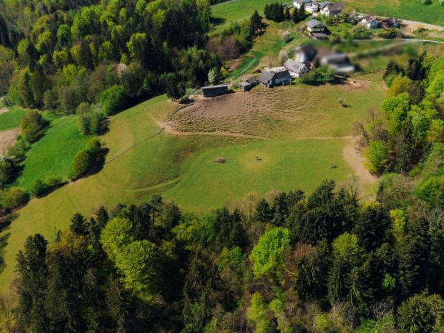 Landwirtschaft kaufen in Eichberg-Trautenburg, Steiermark
