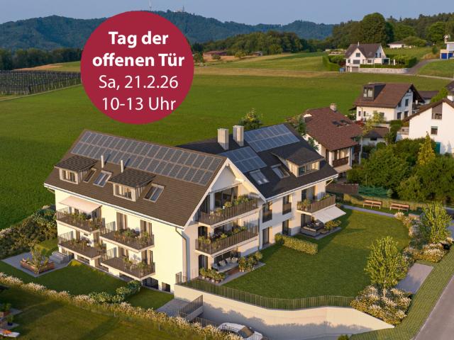 Immobilie kaufen in Aesch (ZH), Zürich