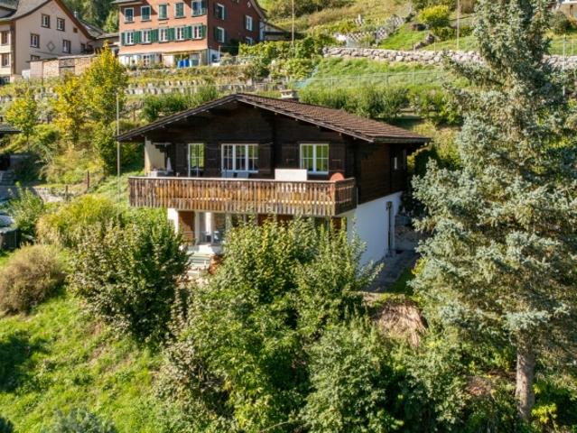 Einfamilienhaus kaufen in Krinau, Wattwil