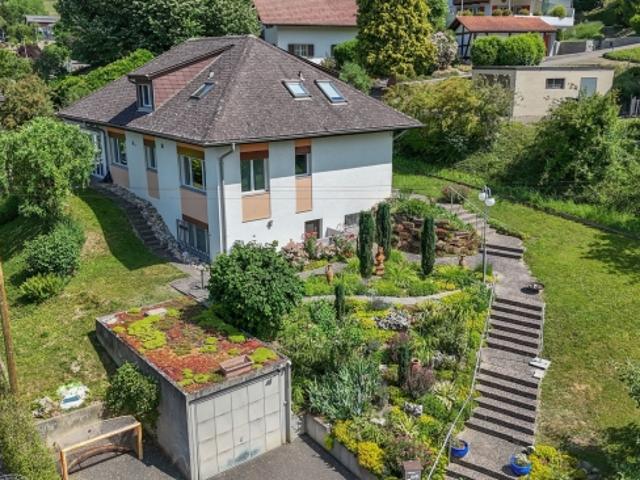 Einfamilienhaus kaufen in Laupersdorf, Solothurn