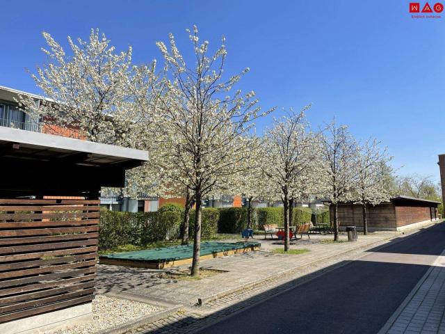 Apartment kaufen in Linz, Solar-City