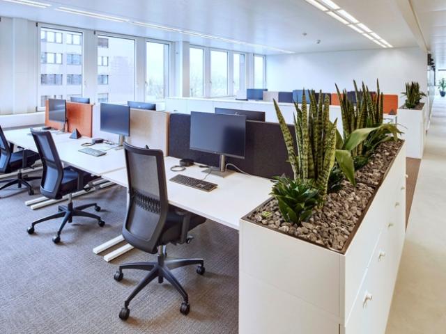 Büro mieten in Steinhausen, Zug