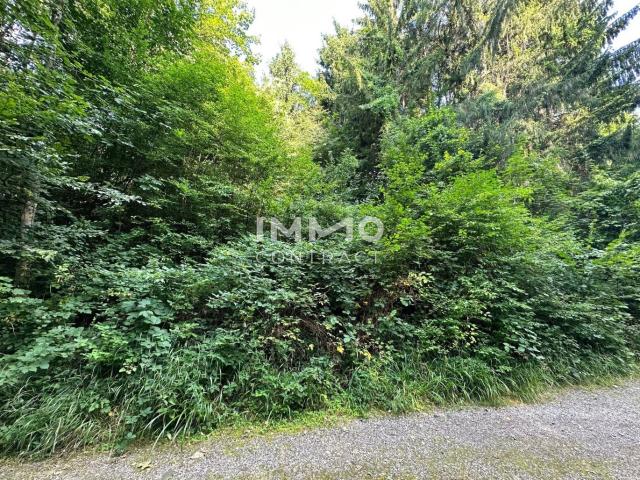 Grundstück kaufen in Pressbaum, Niederösterreich
