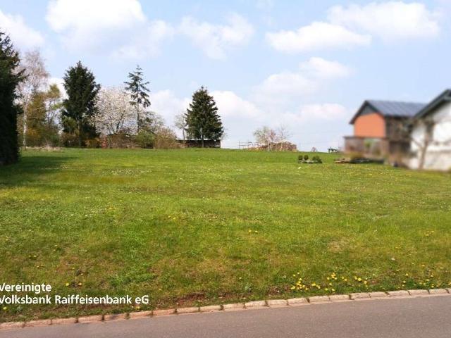 Erdgeschosswohnung kaufen in Wittlich, Landkreis Bernkastel-Wittlich