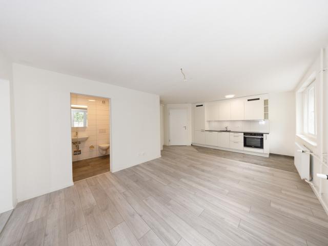 Wohnung mieten in Basel-Stadt