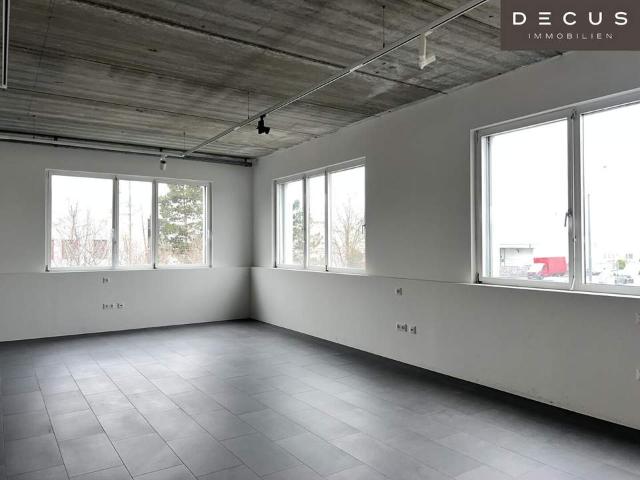 Gewerbe mieten in Liesing, Wien