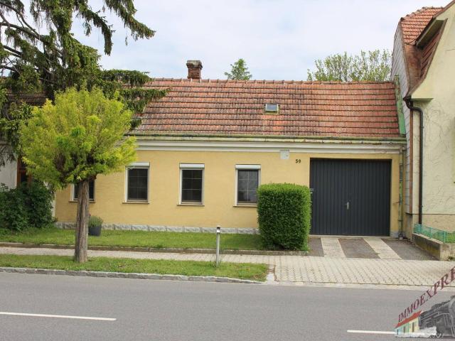 Haus kaufen in Eckartsau, Niederösterreich