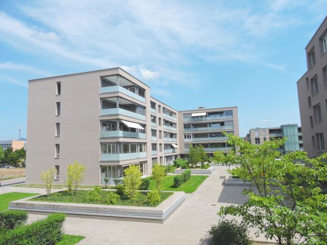 Wohnung mieten in Rheinfelden, Aargau