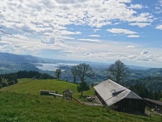 Grundstück kaufen in Gommiswald, St. Gallen