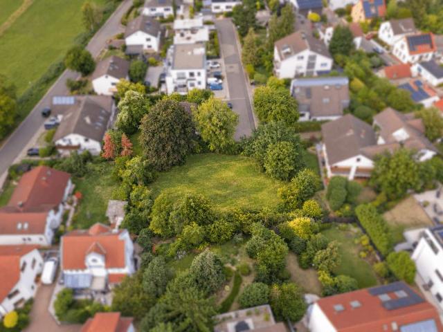 Erdgeschosswohnung kaufen in Ingelheim am Rhein, Landkreis Mainz-Bingen