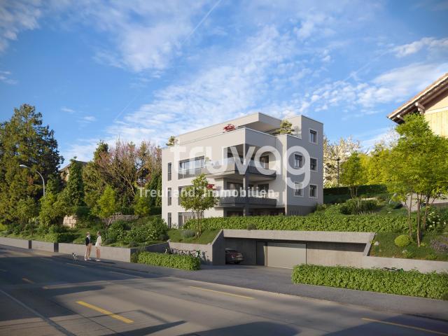 Wohnung kaufen in Walkeli, Sursee