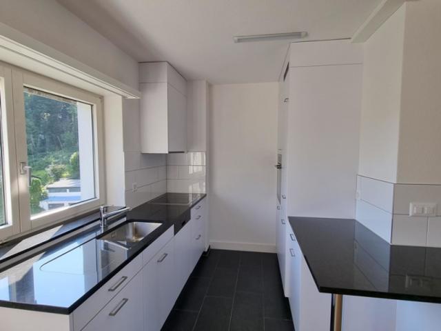 Apartment mieten in Allmend, Baden