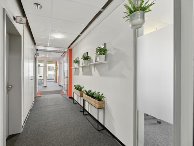 Büro mieten in Einigen, Zürich