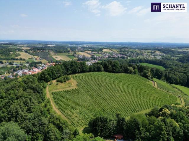 Grundstück kaufen in Eckberg, Gamlitz