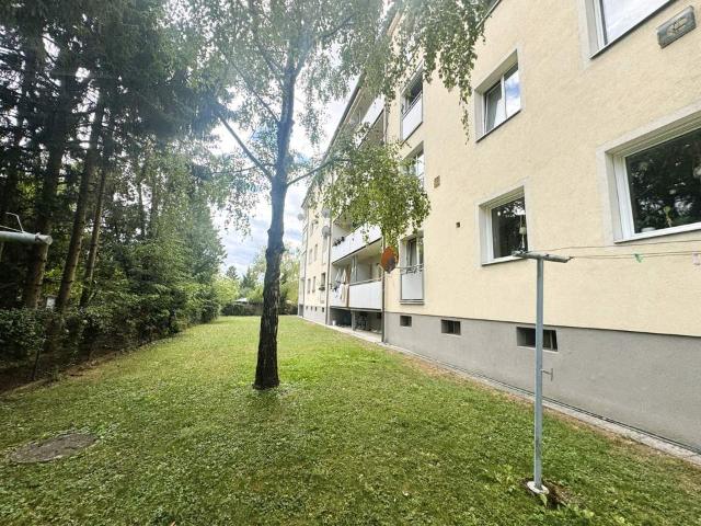 Wohnung kaufen in Baden, Niederösterreich