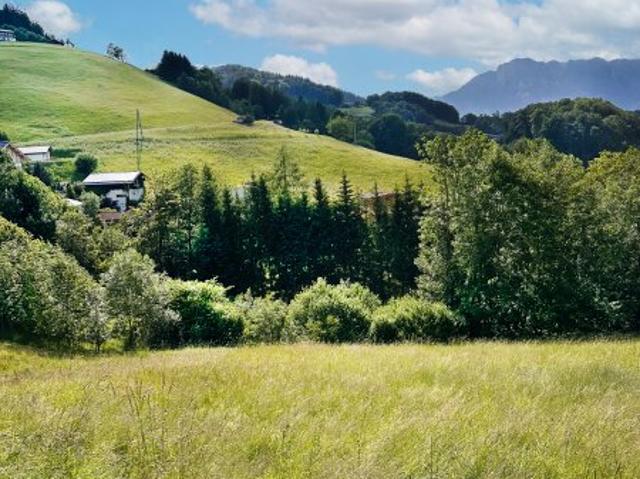 Grundstück kaufen in Bad Dürrnberg, Hallein