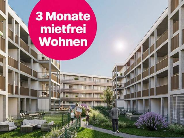 Wohnung mieten in Mödling, Bezirk Mödling