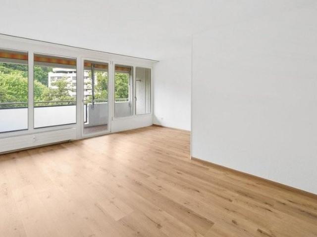 Apartment mieten in Grossbasel, Basel