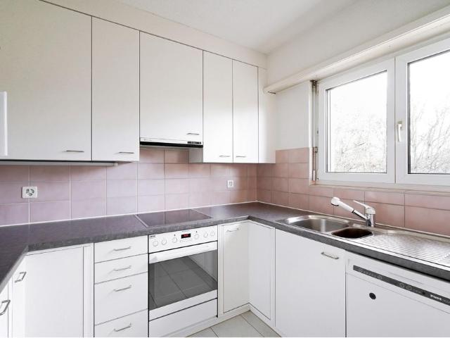 Apartment mieten in Kleinbasel, Basel