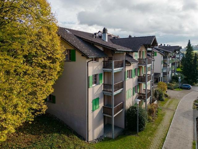 Wohnung mieten in Grüt (Gossau ZH), Gossau (ZH)