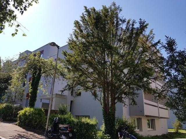 Wohnung mieten in Bern
