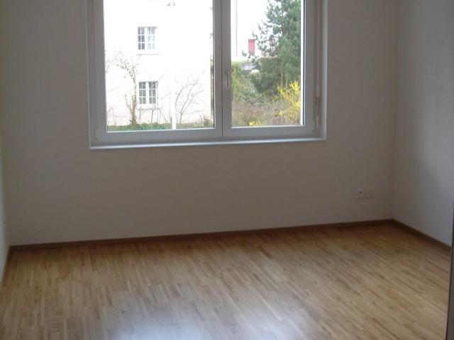 Apartment mieten in Brestenberg, Seengen