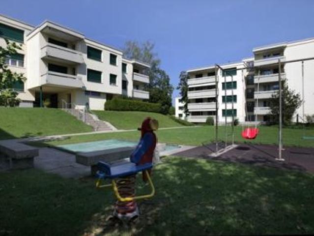 Wohnung mieten in Wädenswil, Zürich
