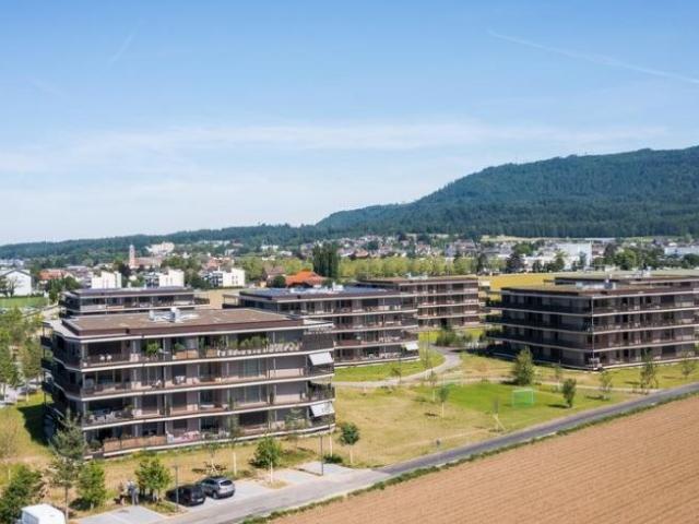 Apartment mieten in Stein, Bezirk Rheinfelden