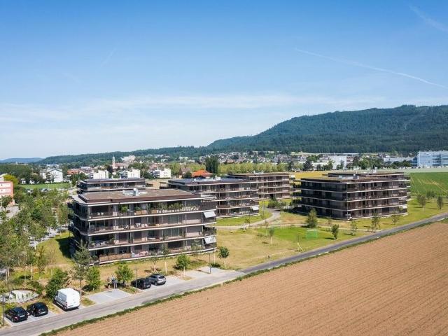 Wohnung mieten in Stein, Bezirk Rheinfelden