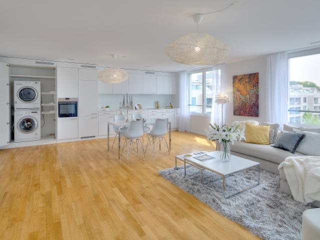 Wohnung mieten in Windisch, Aargau